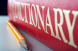 Dictionary